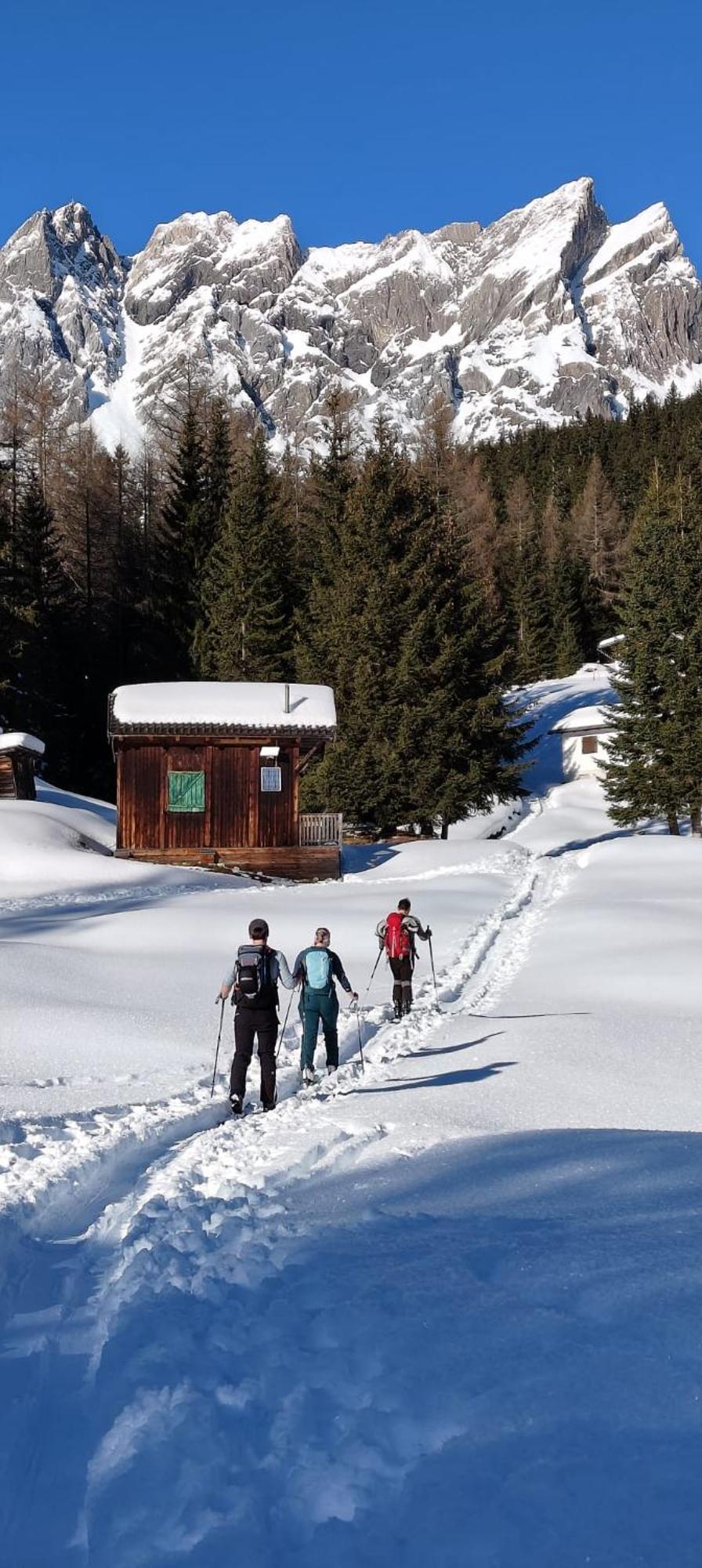 Traumapartment Murmeltier Tirol Гринс Экстерьер фото